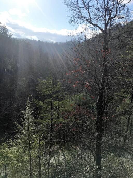 Little Cabin All To Yourself Sevierville Buitenkant foto